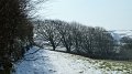 Snow 1